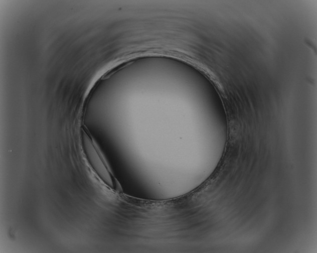 X0000092291530200710051152