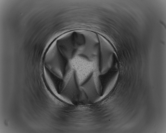 X0000092291531200710051152