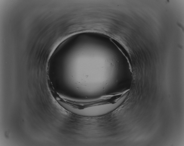 X0000092291532200710051152