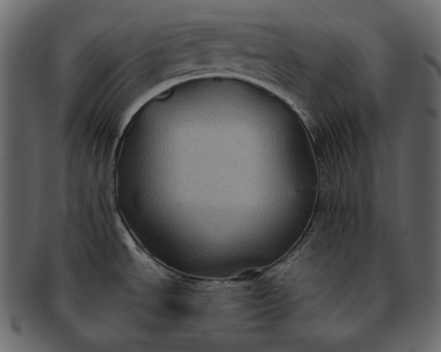 X0000092291534200710051152