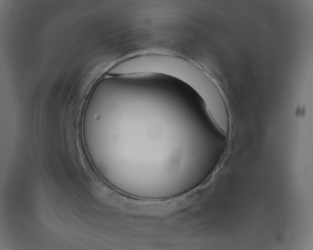 X0000092290001200710121443