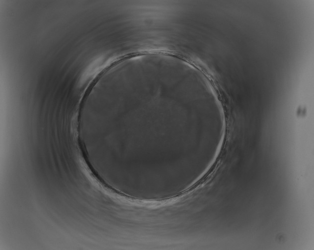 X0000092290002200710121443