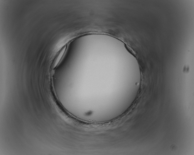 X0000092290005200710121443