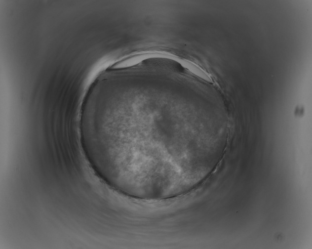 X0000092290006200710121443