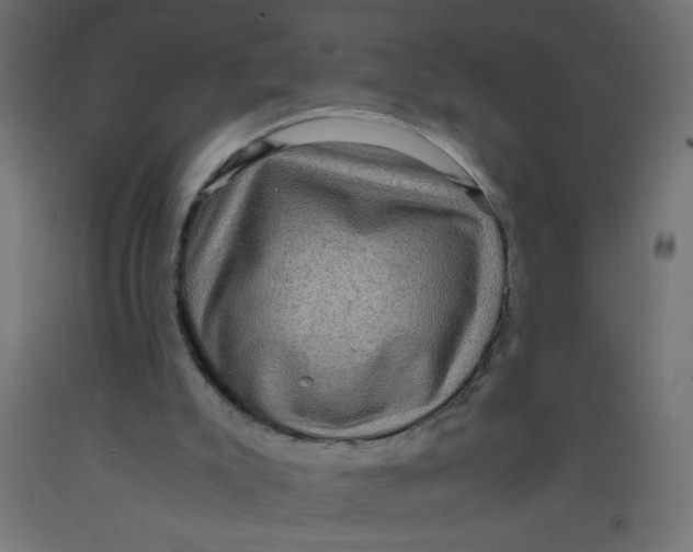 X0000092290007200710121443