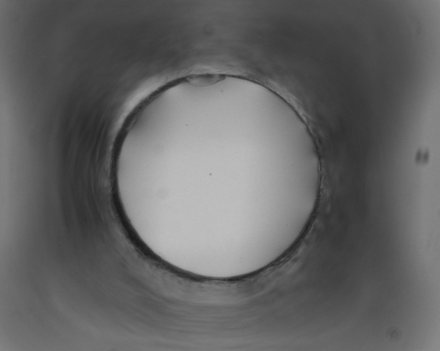 X0000092290008200710121443