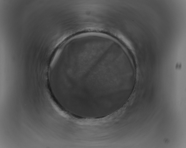 X0000092290009200710121443