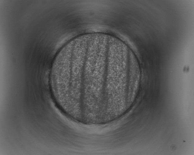 X0000092290010200710121443