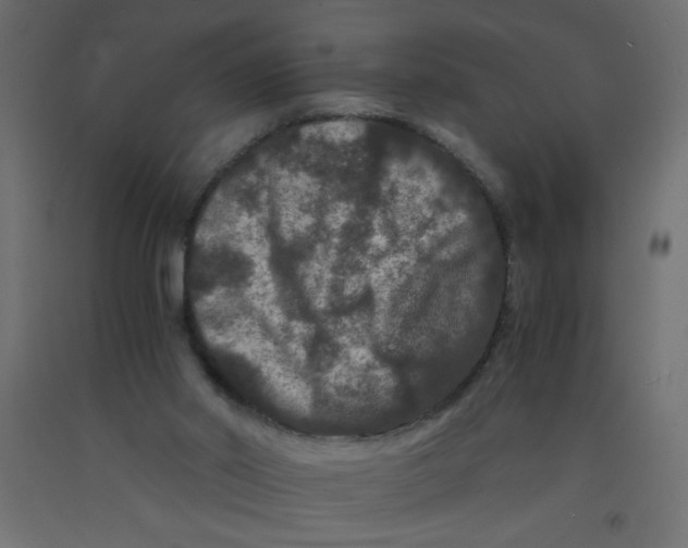 X0000092290014200710121443