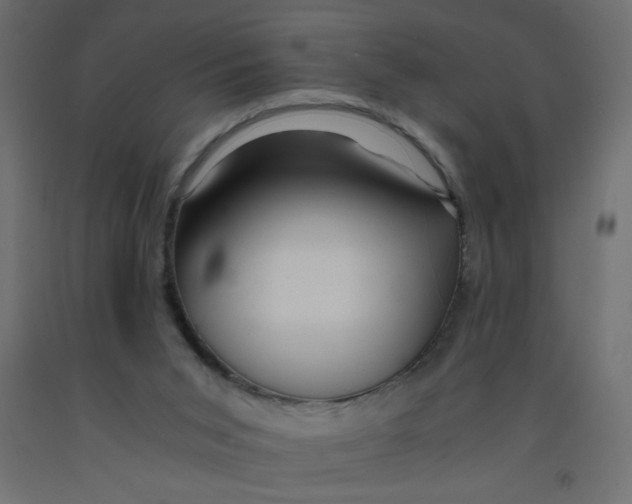 X0000092290015200710121443