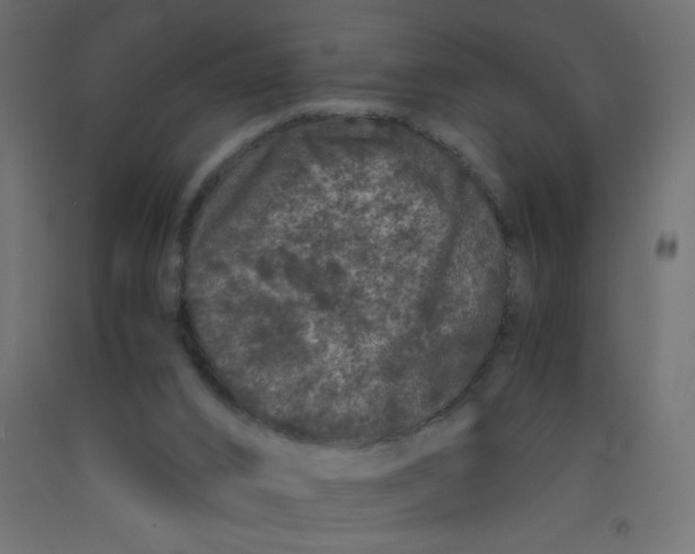 X0000092290016200710121443