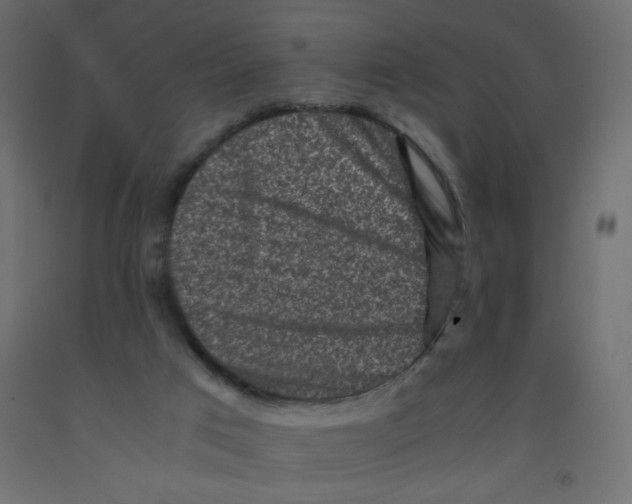 X0000092290017200710121443