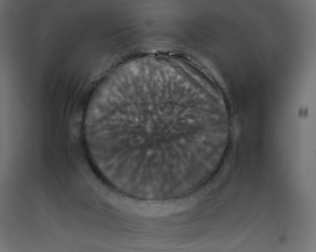 X0000092290018200710121443