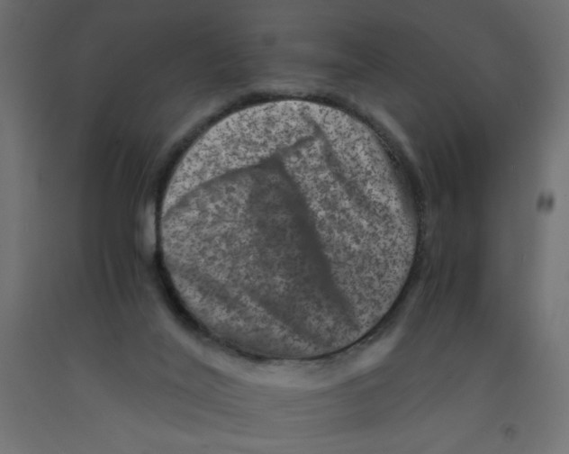 X0000092290020200710121443