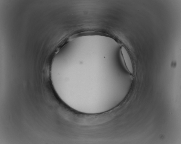 X0000092290021200710121443