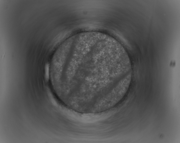 X0000092290022200710121443