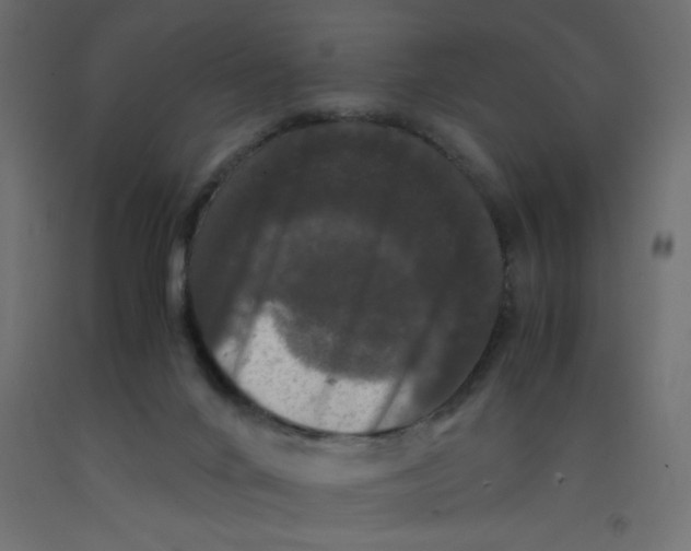 X0000092290024200710121443