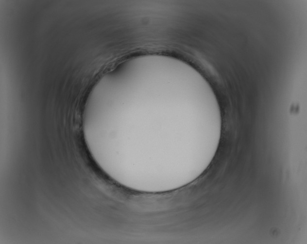 X0000092290025200710121443