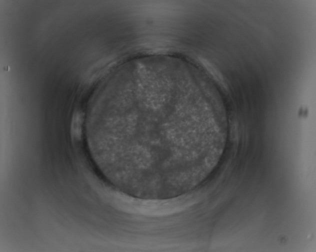 X0000092290026200710121443