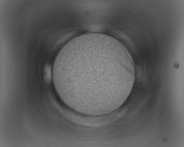 X0000092290028200710121443