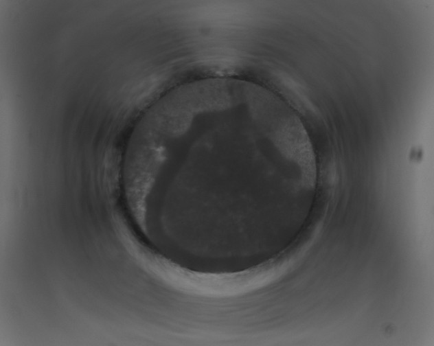 X0000092290030200710121443