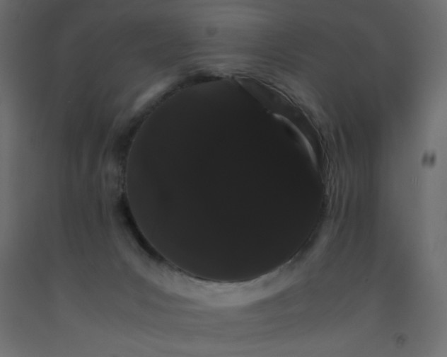 X0000092290031200710121443