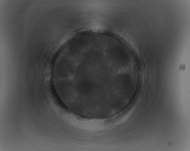 X0000092290032200710121443