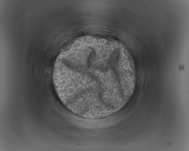 X0000092290034200710121443