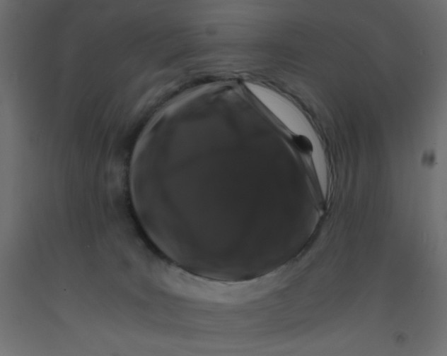 X0000092290035200710121443