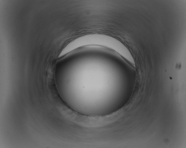 X0000092290037200710121443