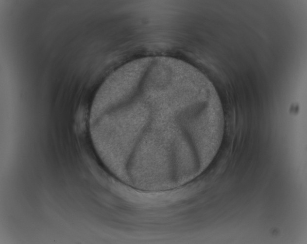 X0000092290038200710121443