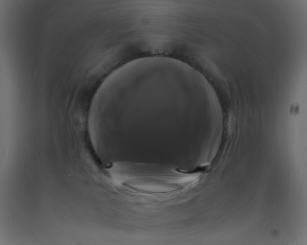 X0000092290039200710121443