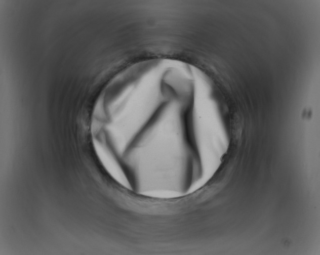 X0000092290040200710121443