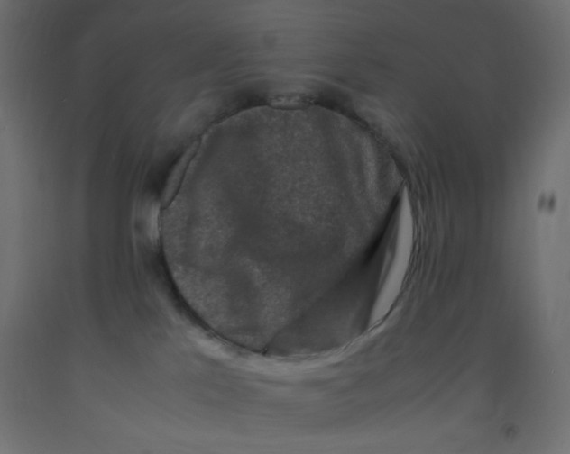 X0000092290041200710121443