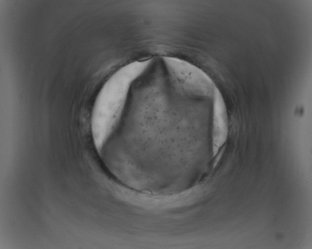 X0000092290043200710121443