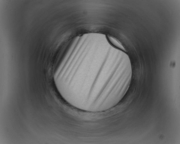 X0000092290044200710121443