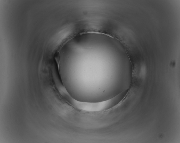 X0000092290045200710121443