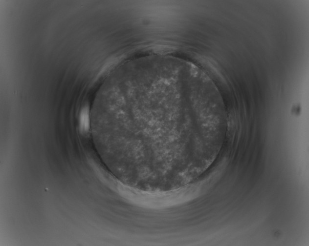 X0000092290046200710121443