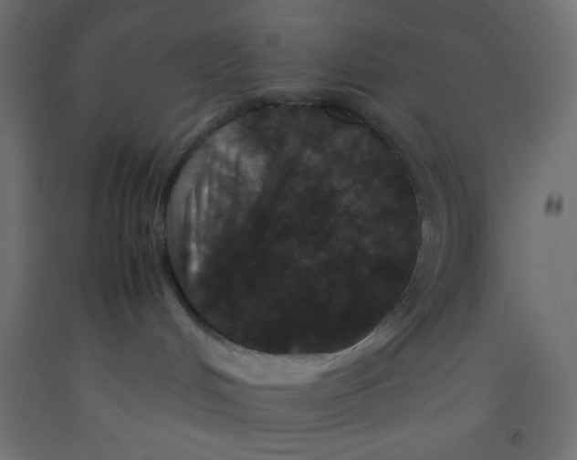 X0000092290048200710121443