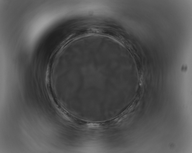 X0000092290052200710121442