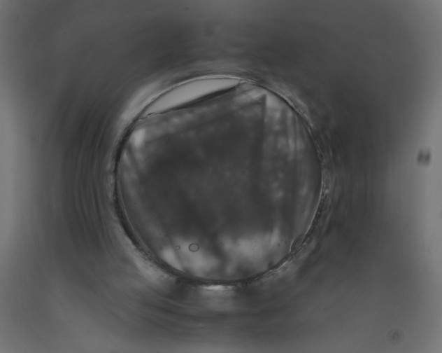 X0000092290053200710121442