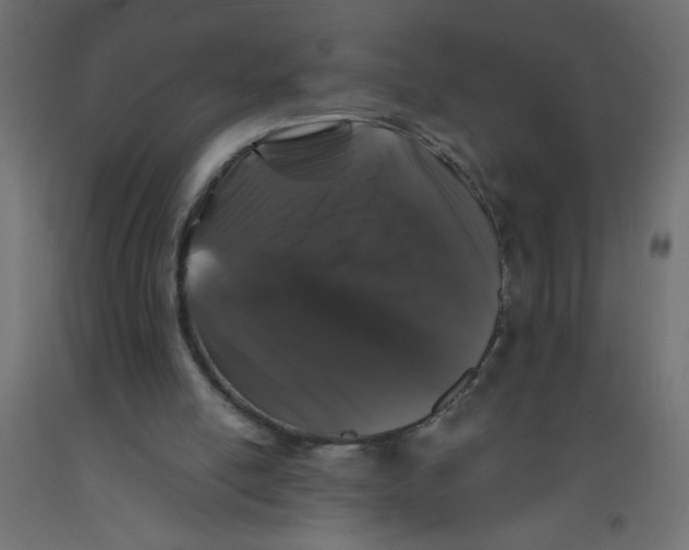 X0000092290054200710121442