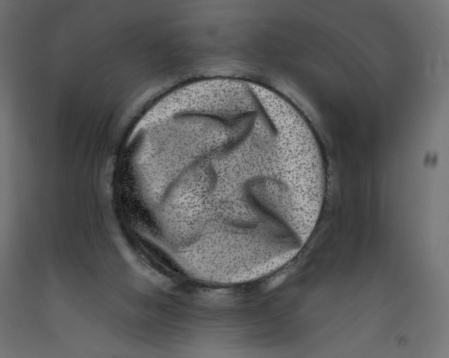 X0000092290058200710121442