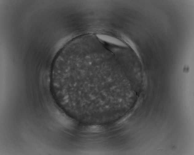 X0000092290059200710121442