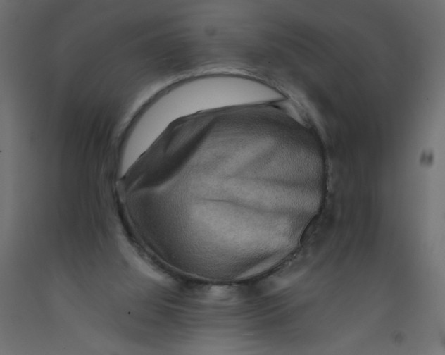 X0000092290060200710121442