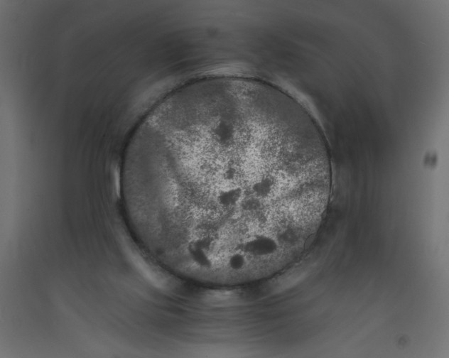 X0000092290061200710121442