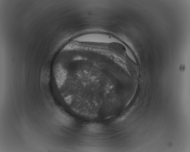 X0000092290063200710121442