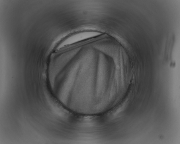 X0000092290064200710121442