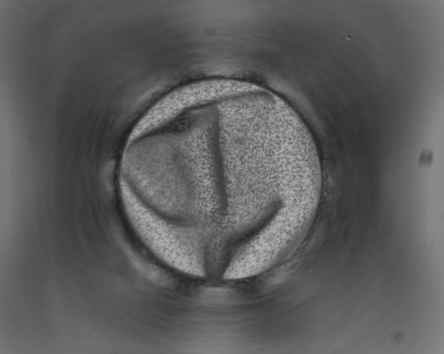 X0000092290066200710121442