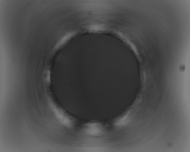 X0000092290067200710121442